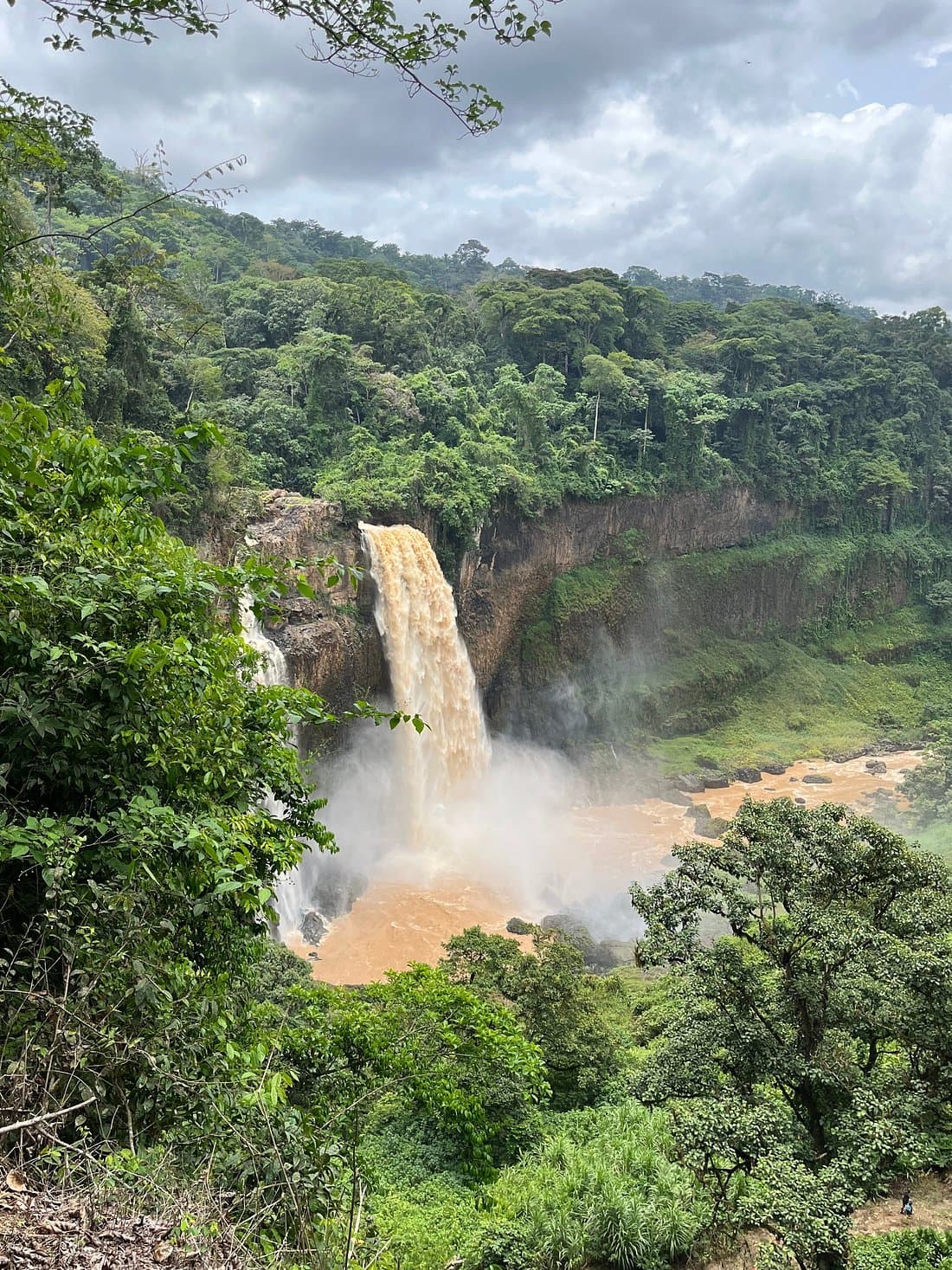 Ekom-Nkam Twin Waterfalls photo 3