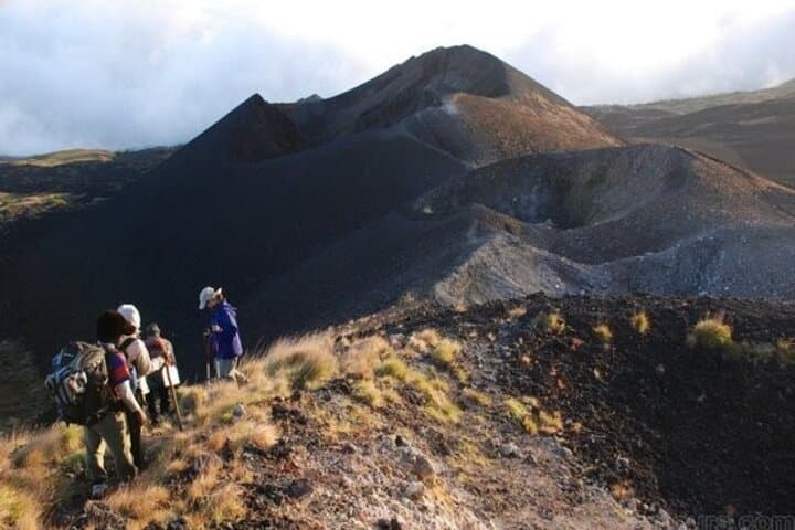 Mount Cameroon Summit photo 2