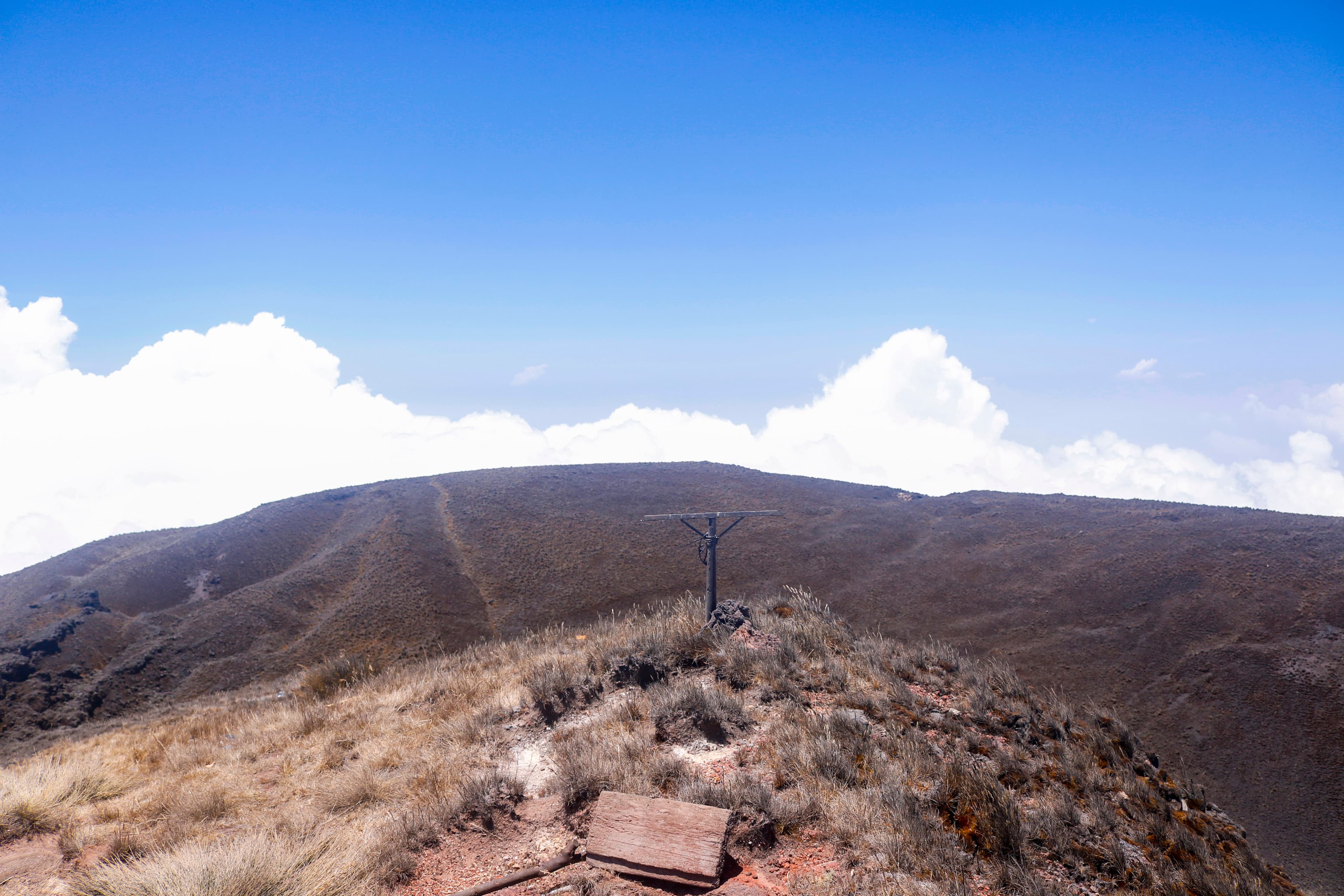 Mount Cameroon Summit photo 4