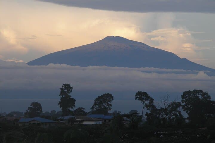 Mount Cameroon Summit photo 4