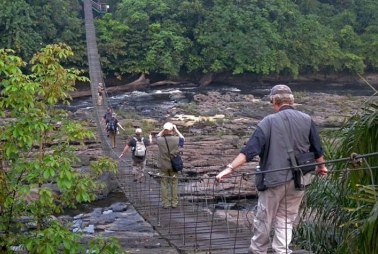 Campo Ma'an National Park Gorilla Trek