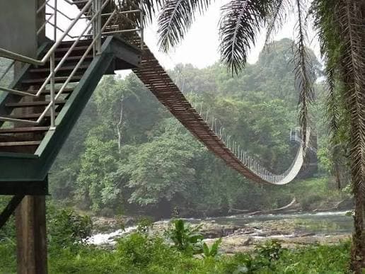 Korup National Park Trek