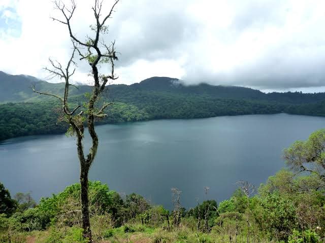 Lake Oku & Kilum-Ijim Forest Birding