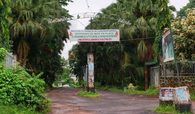 Limbe Botanical Garden Walk