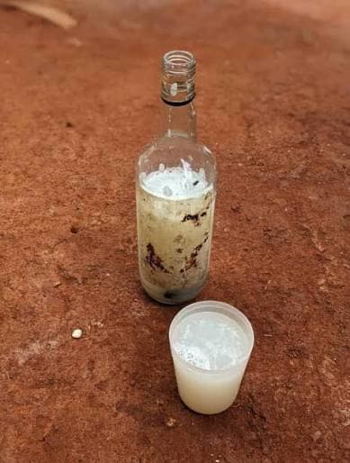 Palm Wine Trail