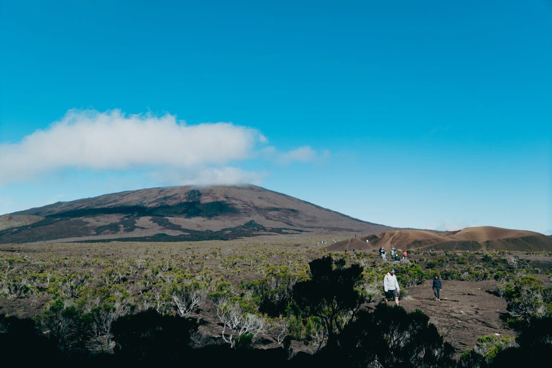 Mount Cameroon